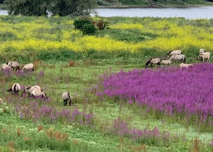 Auszeit Semesterbostad